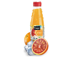 Dzriens Cappy Ice Fruit, apelsnu-greifrtu, 0.5 L.